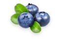 Blueberries